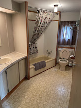 Cabin L bathroom